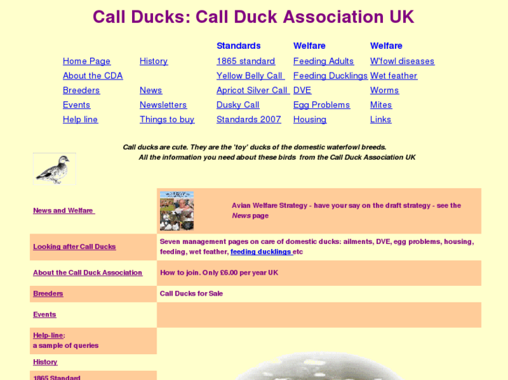 www.callducks.net