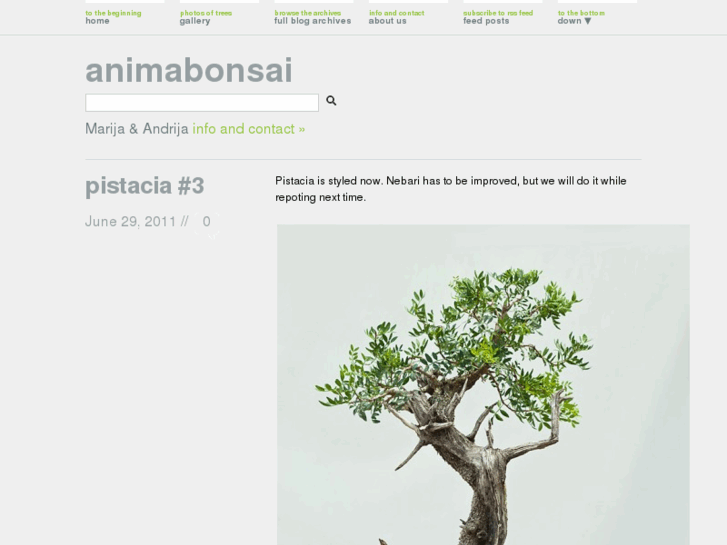 www.my-bonsai.com