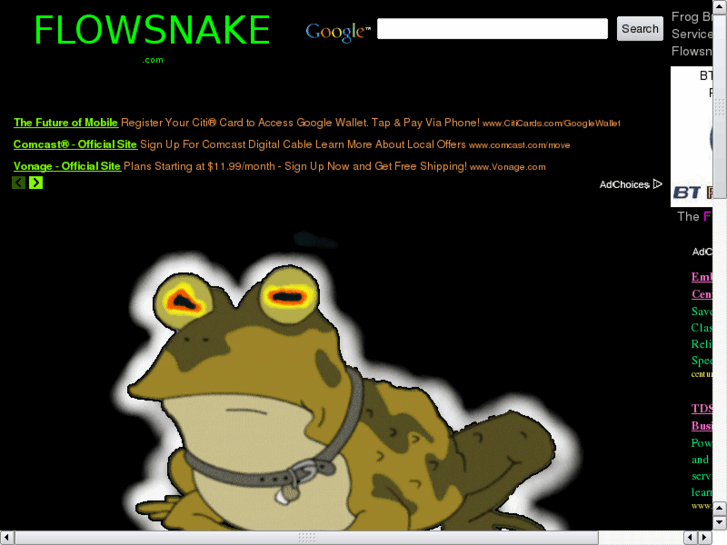 www.flowsnake.com