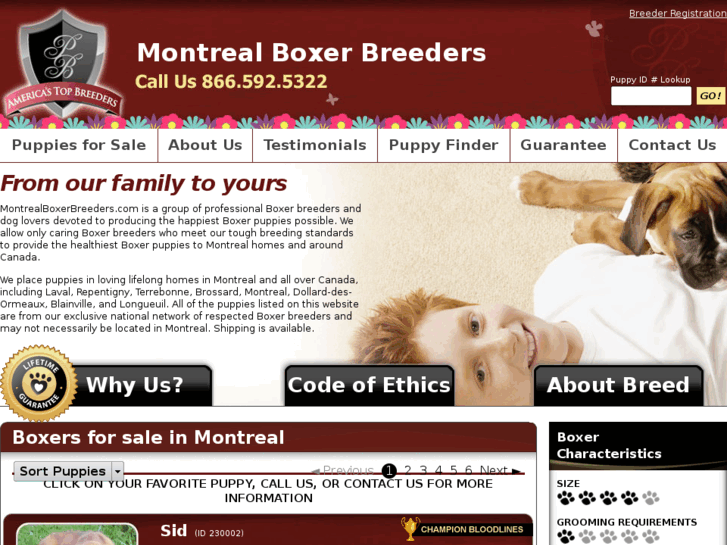 www.montrealboxerbreeders.com