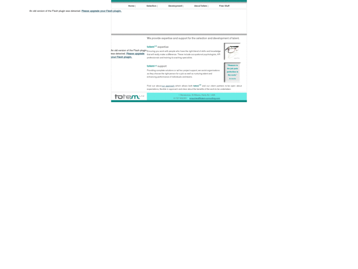 www.totem-consulting.com