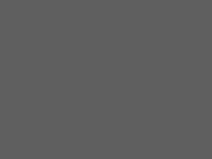 www.spielconsulting.com