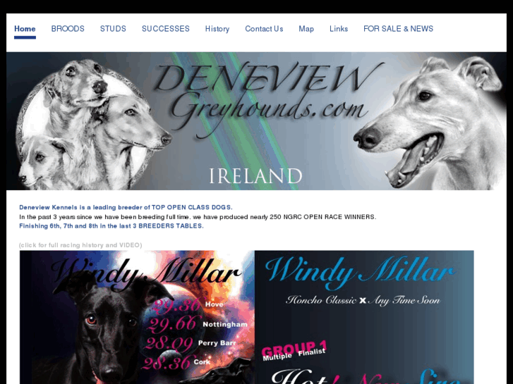 www.deneviewgreyhounds.com