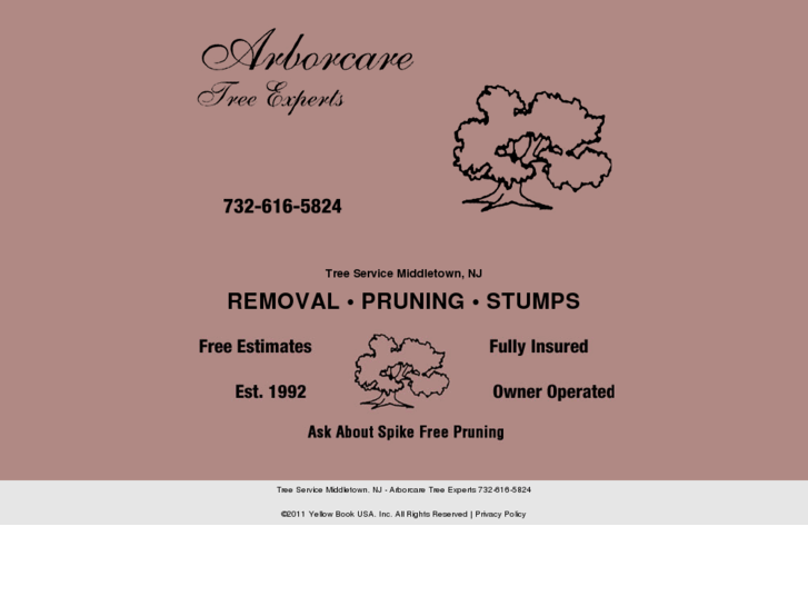 www.arborcaretreeexpertsnj.com