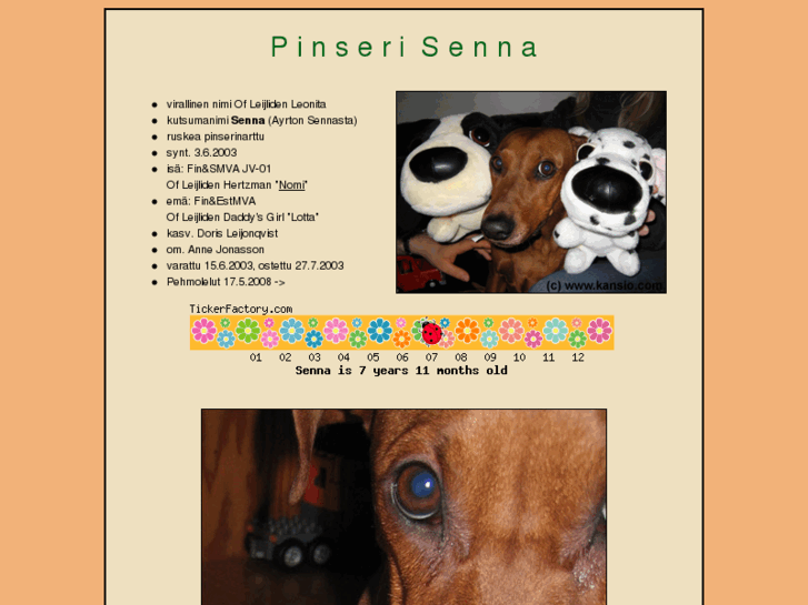 www.pinseri.net