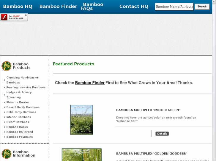 www.bambooheadquarters.com