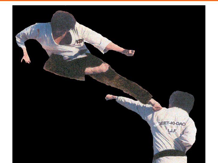 www.ijfv.net