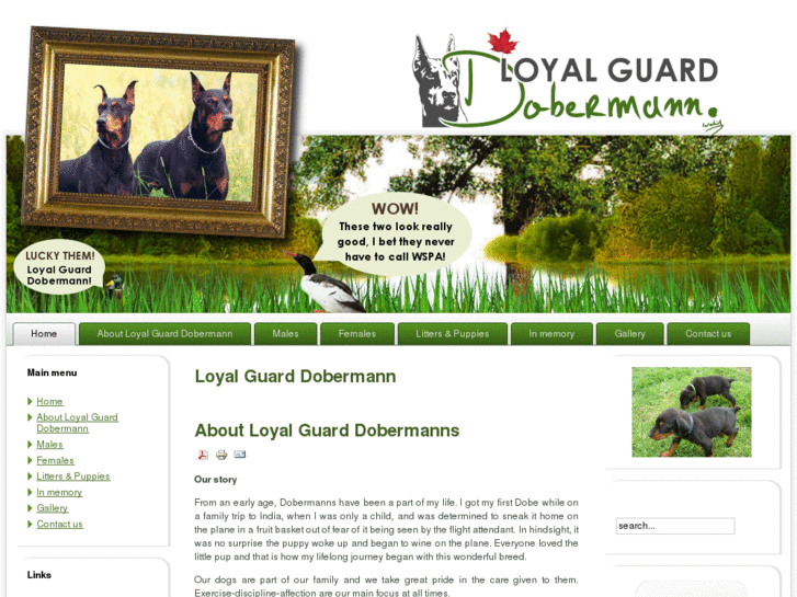 www.loyalguarddobermann.com