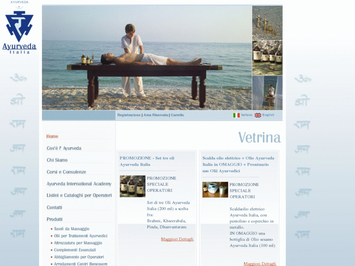 www.ayurvedainternational.net