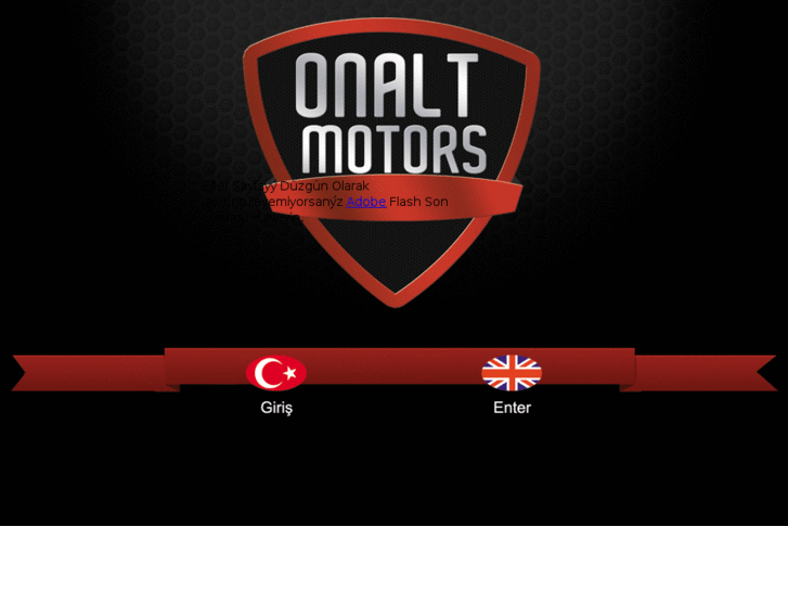www.onaltmotors.com