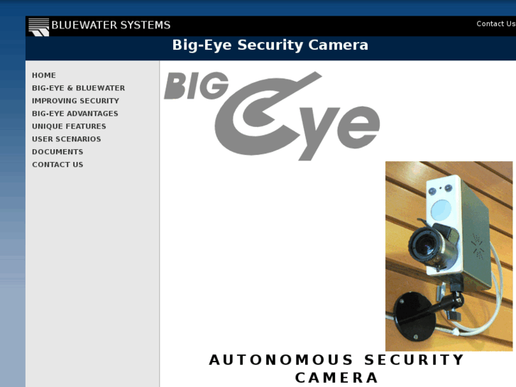 www.bigeye-security.com