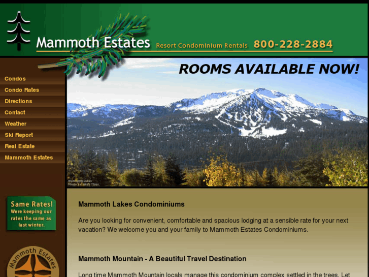 www.mammothestates.com