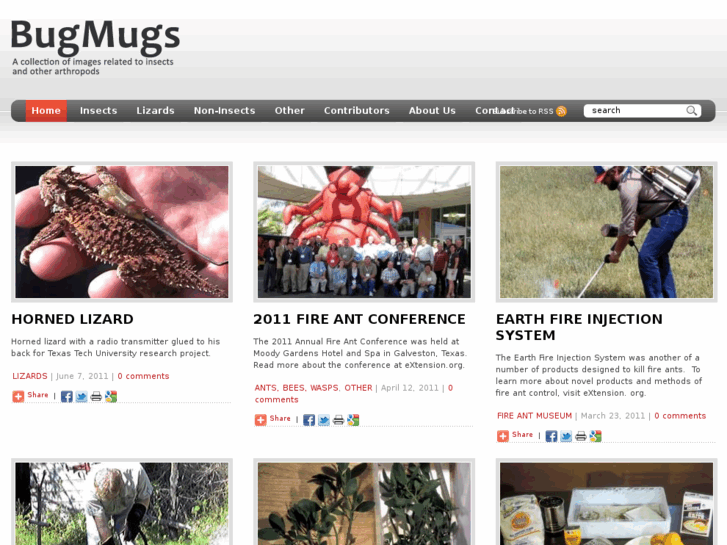 www.bugmugs.org