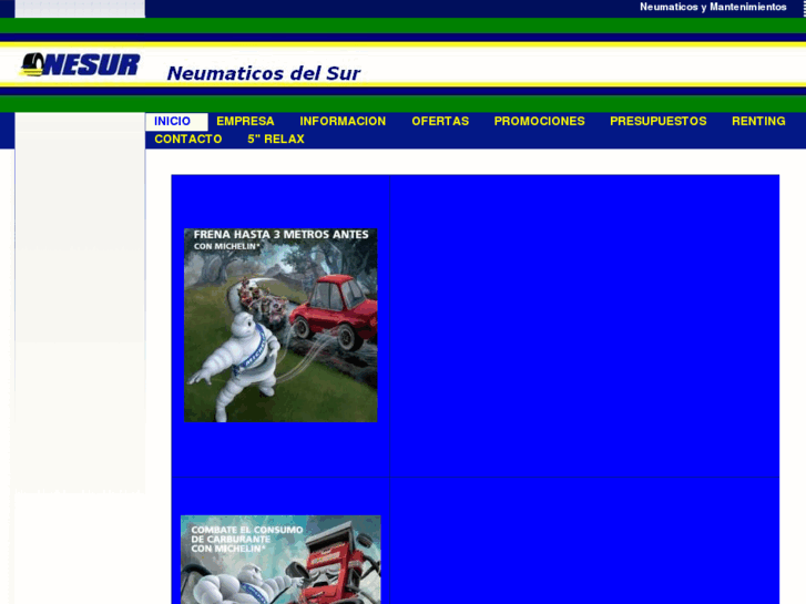 www.neumaticosdelsur.com