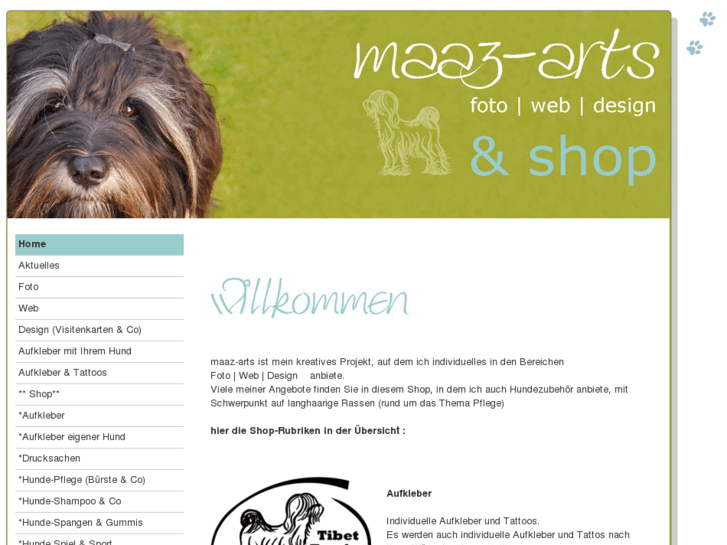 www.maaz-arts.com