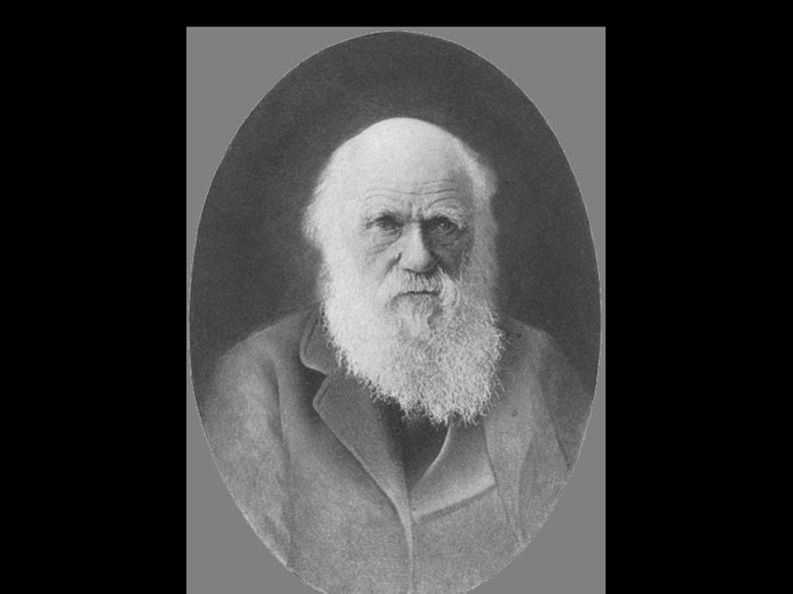 www.charles-darwin.com