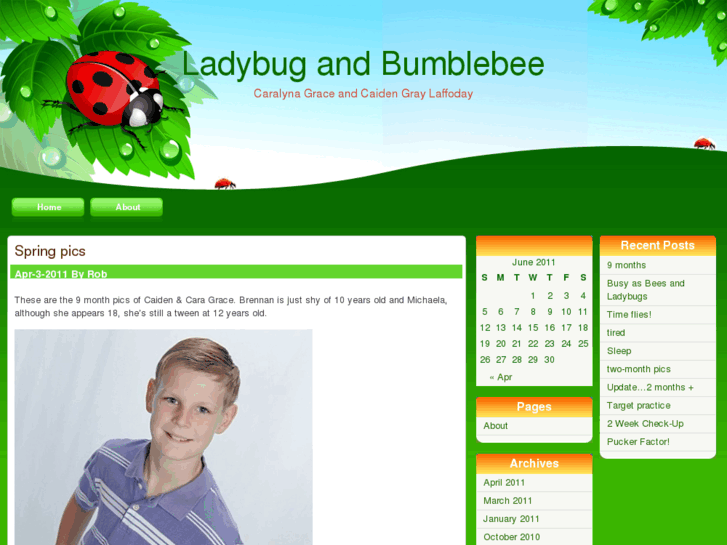 www.ladybugandbumblebee.com