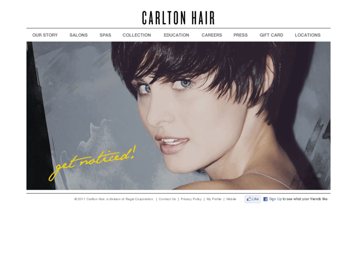 www.carltonhairinternational.com