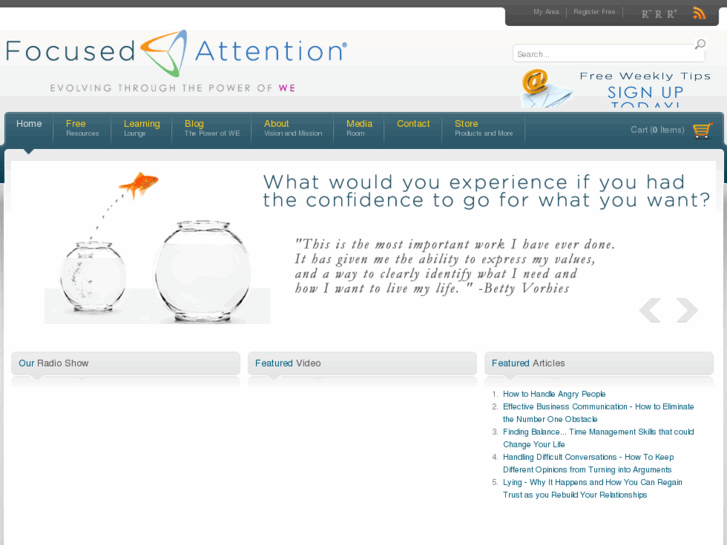 www.focusedattention.biz