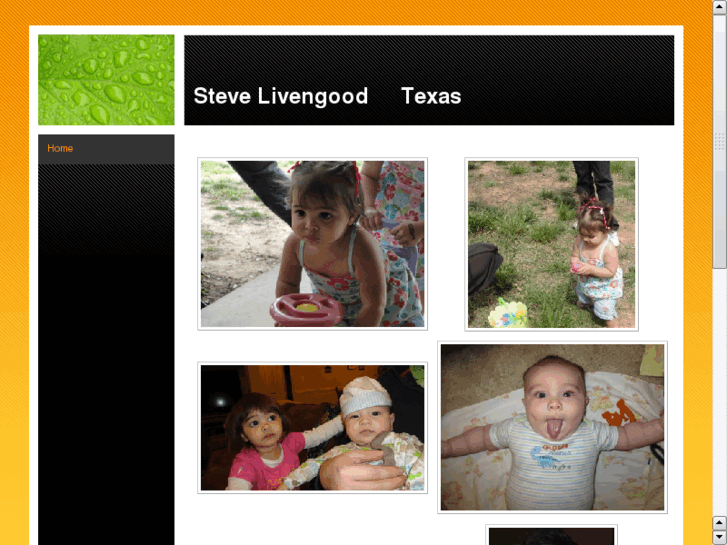 www.stevelivengood.com