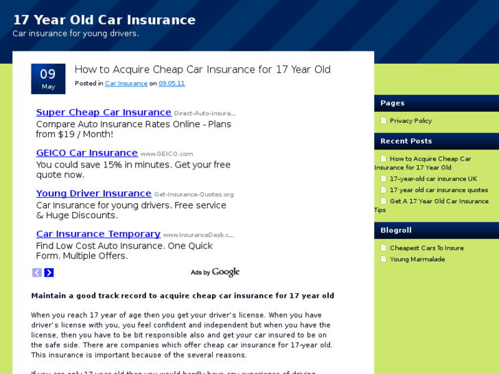 www.17yearoldcarinsurance.net