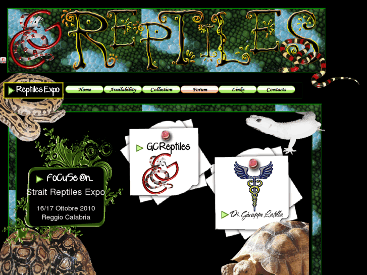 www.gcreptiles.it
