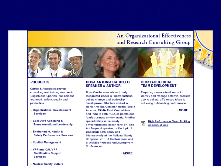 www.carrilloconsultants.com