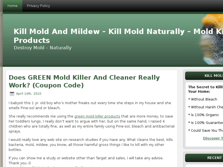 www.killmoldandmildew.net
