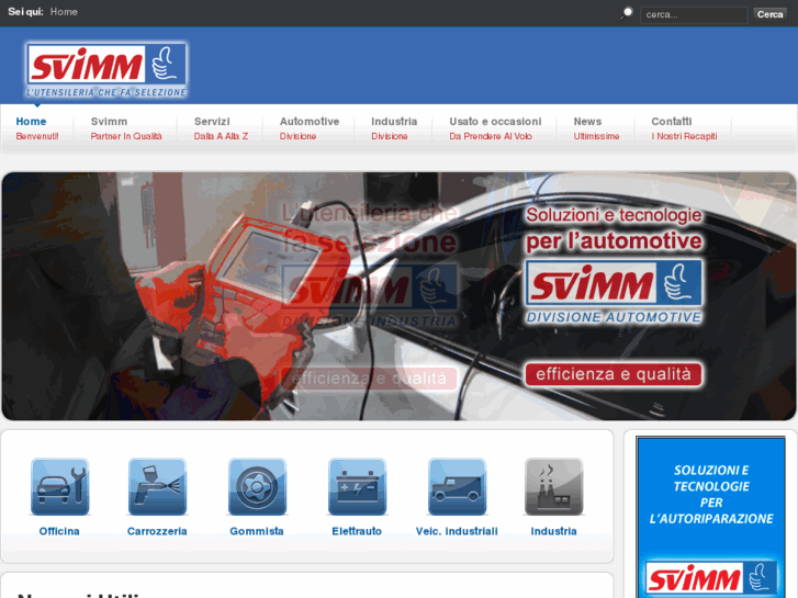 www.svimm.info