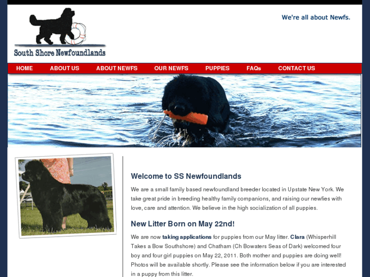 www.ssnewfoundlands.com