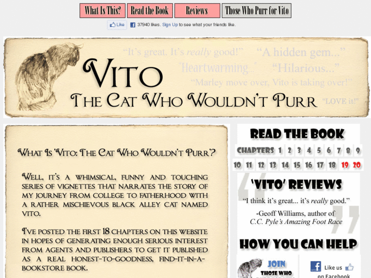 www.vitothecat.com