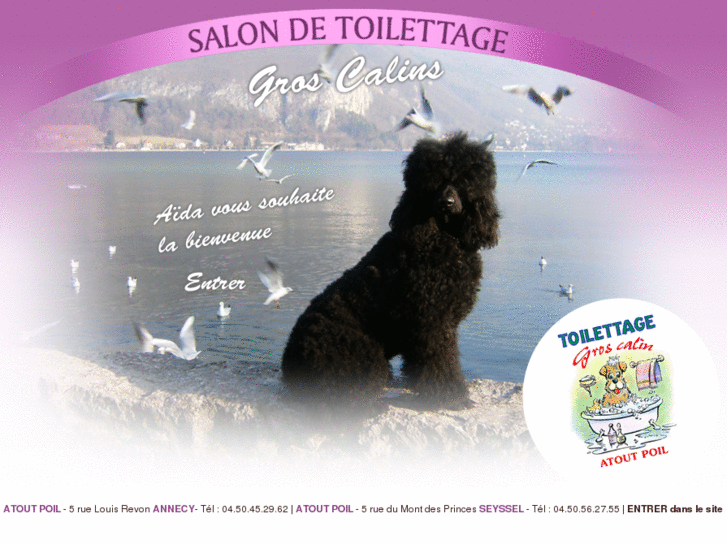 www.toilettage-chien-annecy.com