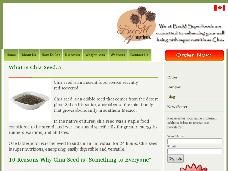 www.becmchia.com