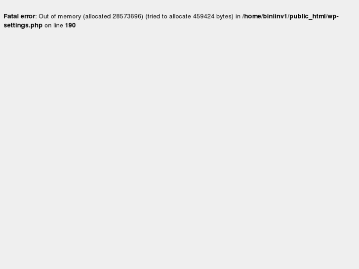 www.biniinvest.com