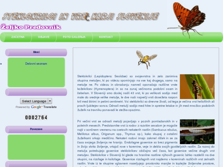 www.steklokrilci-vreckarji.com