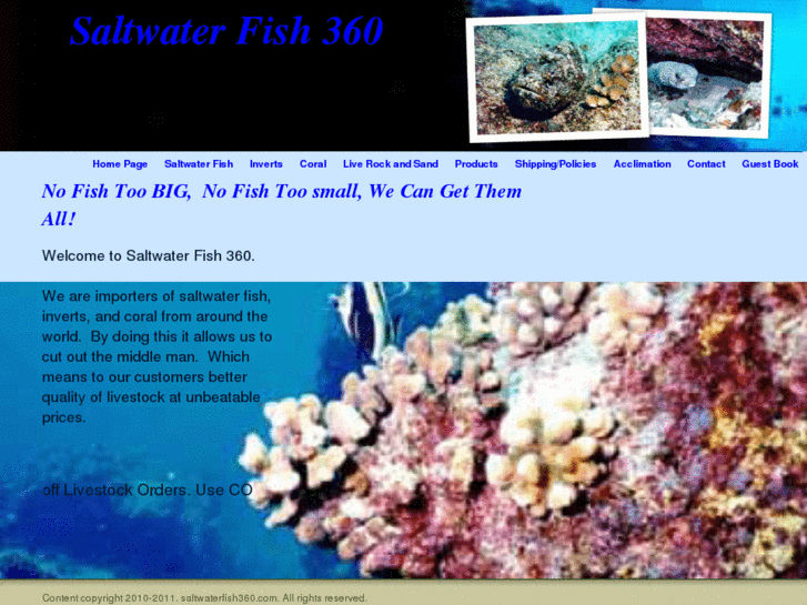 www.saltwaterfish360.com