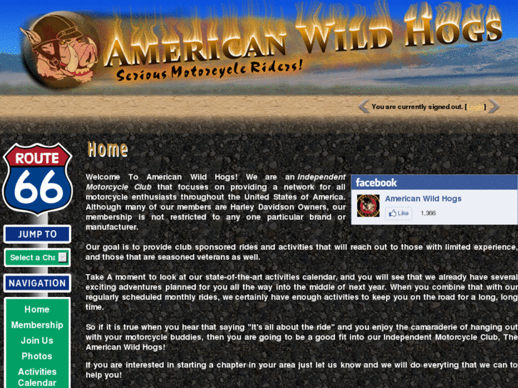 www.americanwildhogs.com