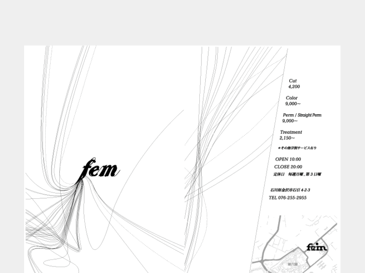 www.fem-hair.com
