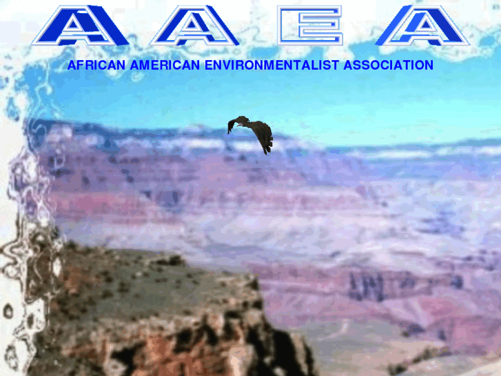 www.aaenvironment.com