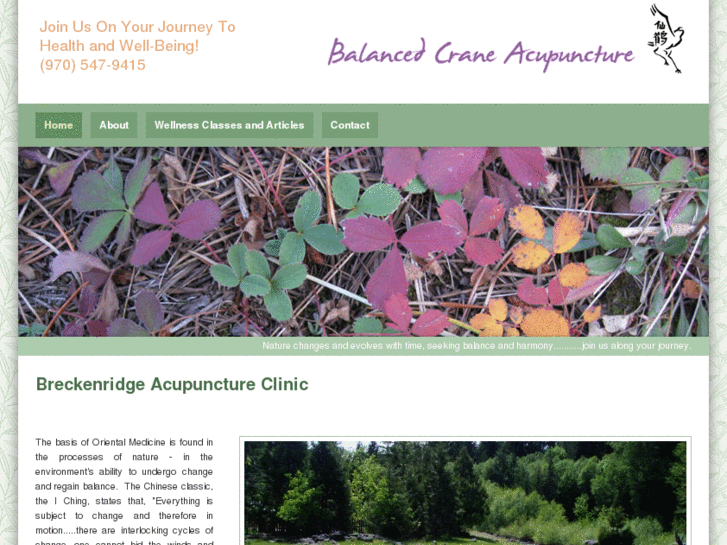 www.balancedcraneacupuncture.com