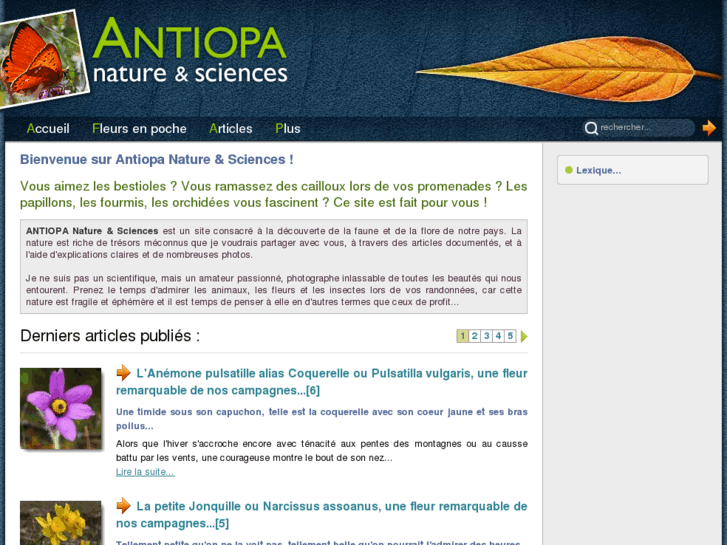 www.antiopa.net