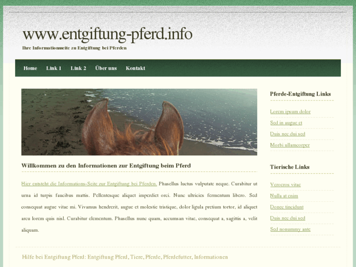 www.entgiftung-pferd.info