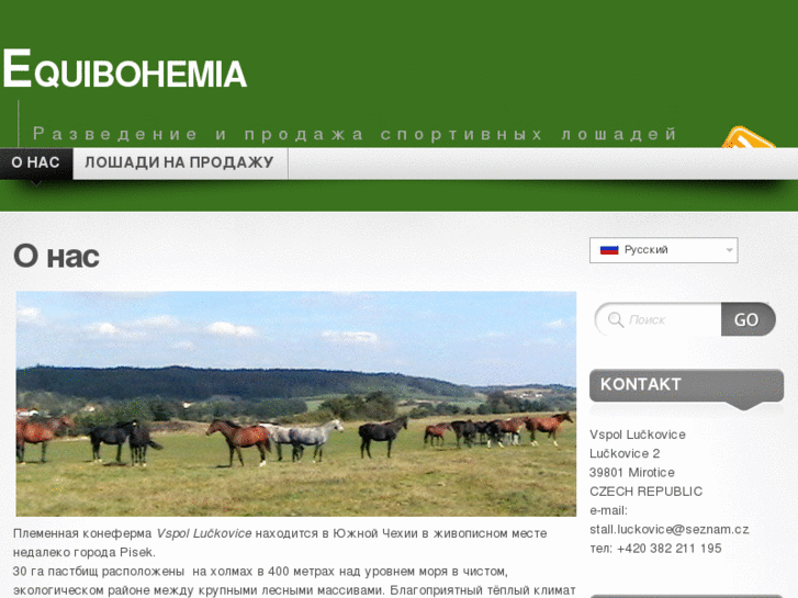 www.equibohemia.com