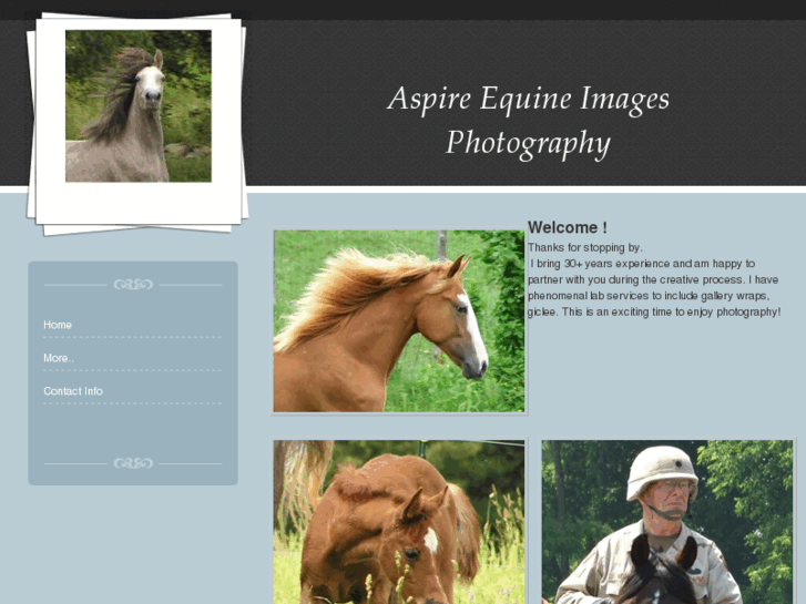 www.aspireequineimages.com
