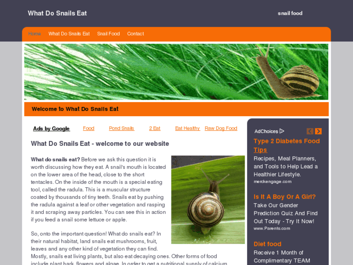www.whatdosnailseat.com