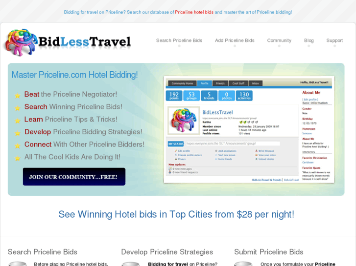 www.bidlesstravel.com