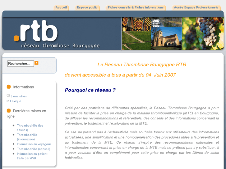 www.thrombosebourgogne.org