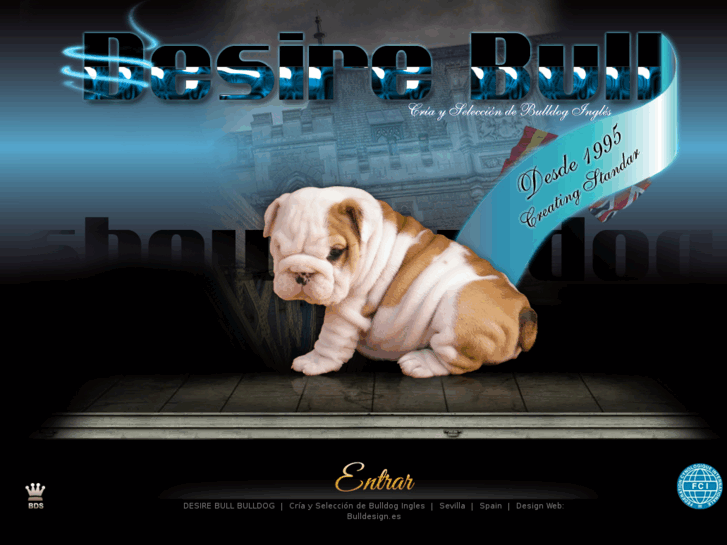 www.desirebull.com
