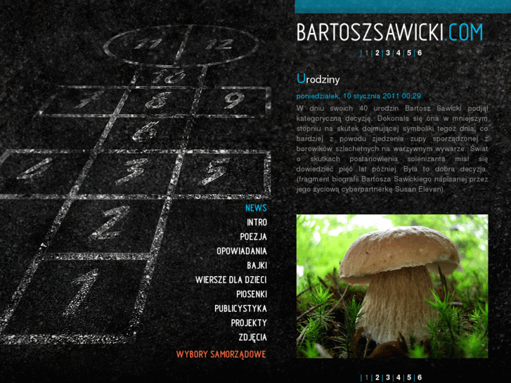 www.bartoszsawicki.com