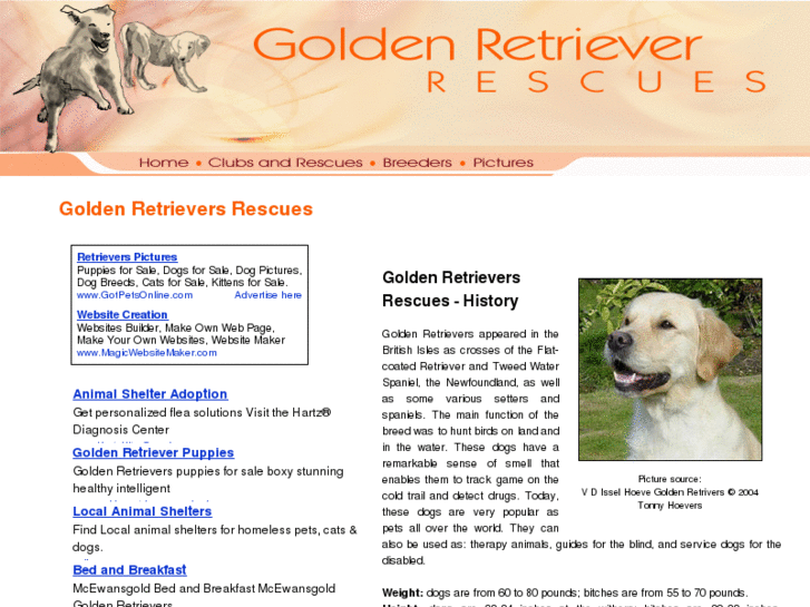 www.golden-retriever-rescues.com